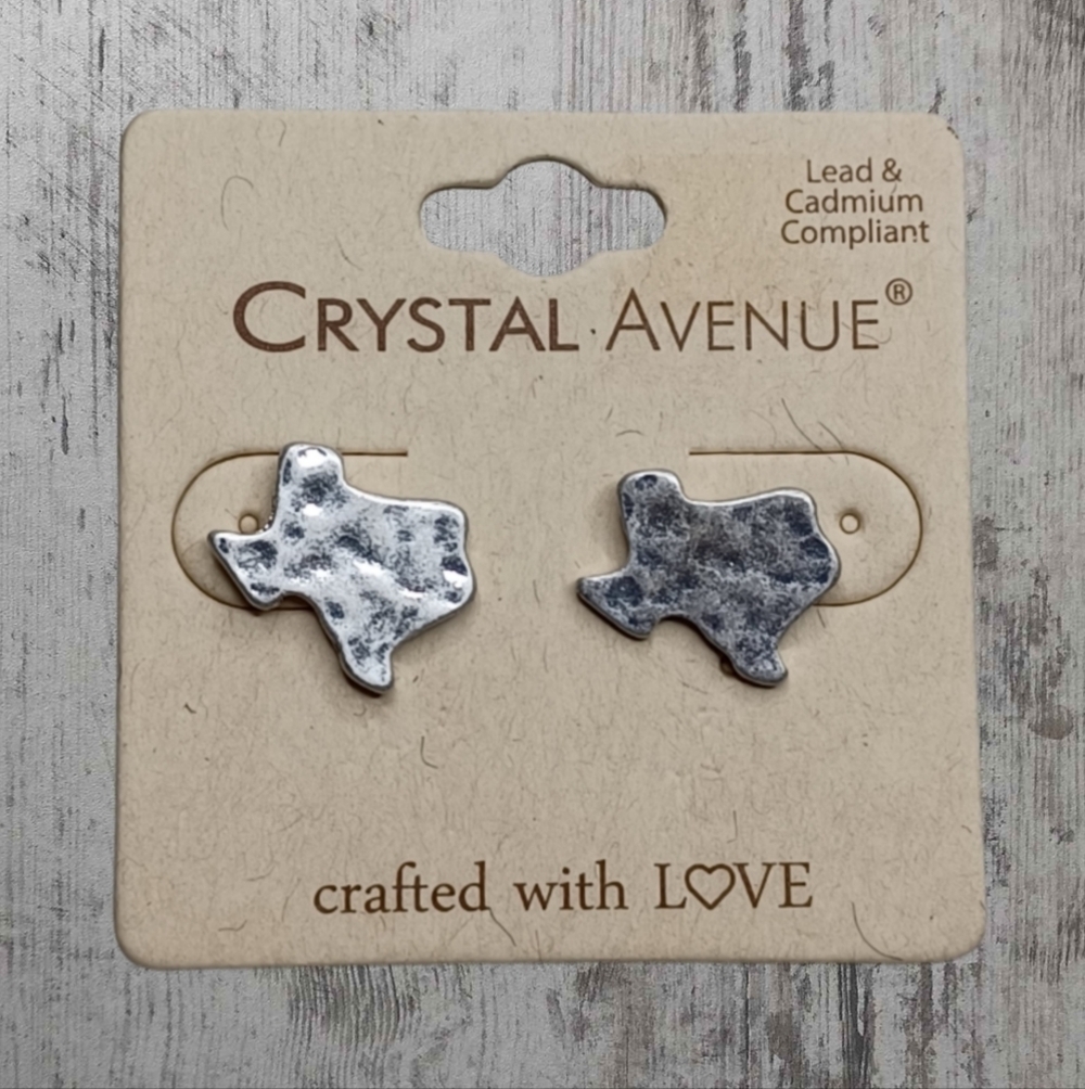 NWT Texas State Silvertone Western Boho Stud Earrings